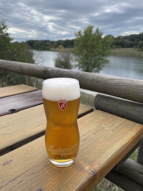 ドナウ川のほとりで飲んだブドバー