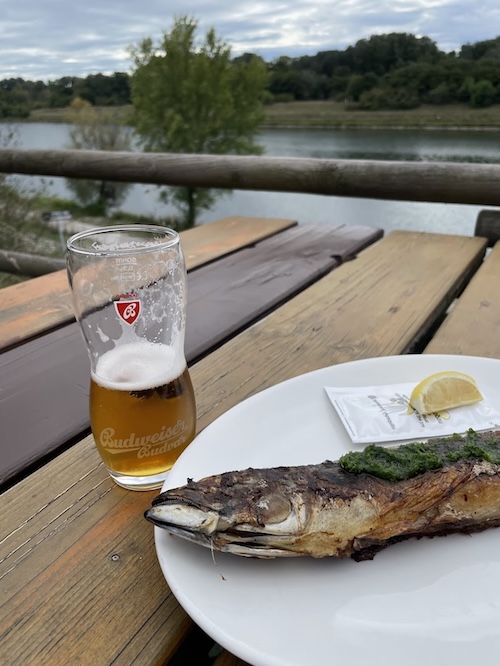 鯖のグリルとの相性も最高！