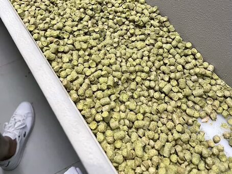 ピルスナーウルケルで使用しているホップ