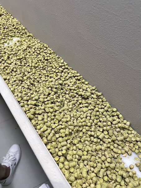ピルスナーウルケルで使用しているホップ